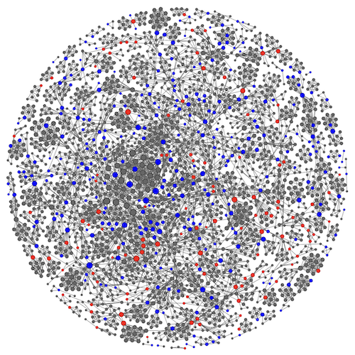 Network Graphs | Gaels Network (Disconnected)